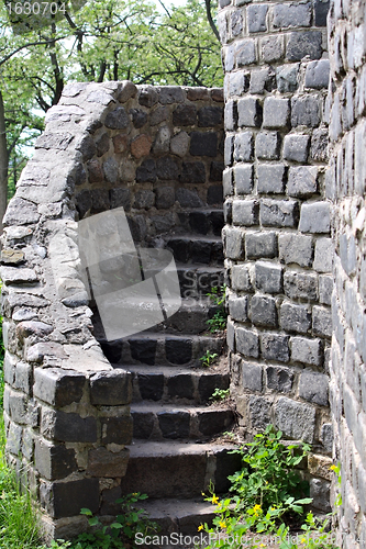 Image of An ancient ladder