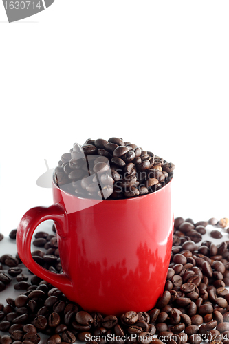 Image of Cup with coffee beans