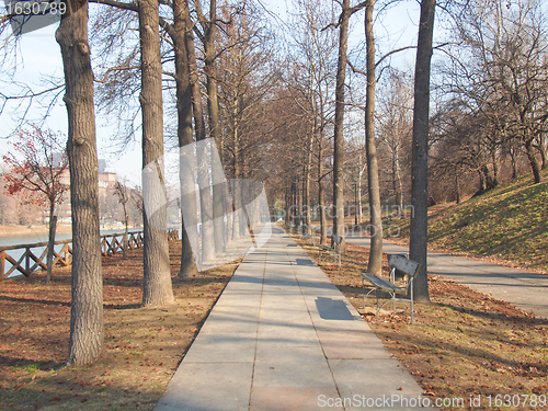 Image of Path among trees