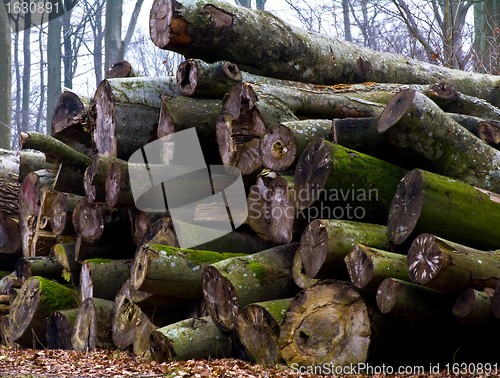 Image of A heap of trunks