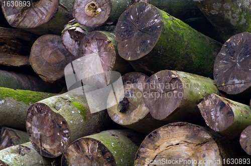 Image of A heap of trunks