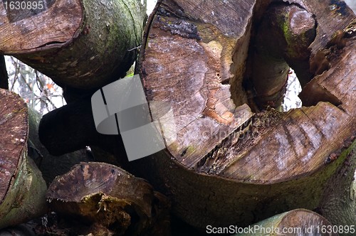 Image of A heap of trunks