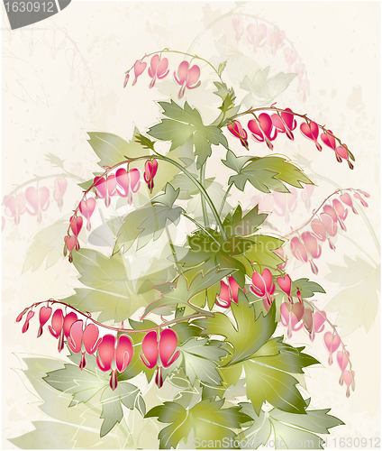 Image of Illustration  "bleeding heart" (Dicentra spectabilis). Greeting card with flower. Colorful fresh spring flower.