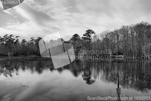 Image of Marsh land