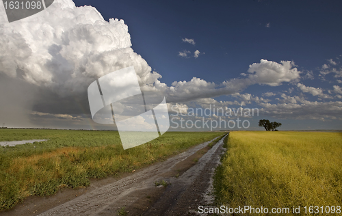 Image of Prairie Hail Storm and Rainbow