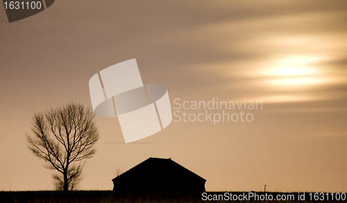 Image of Night Shot Saskatchewan Canada