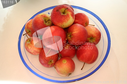 Image of Apples on Dish