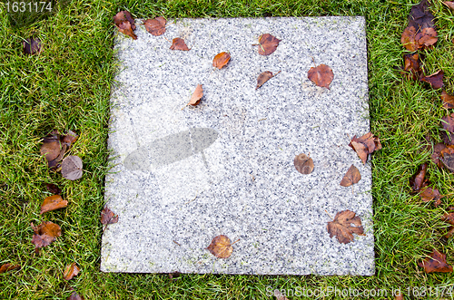 Image of background of ancient marble tile lawn autumn leaf 