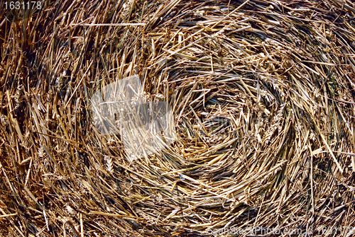 Image of Close-up of straw bales 