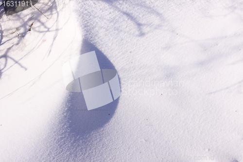 Image of campaign under the sun and winter snow