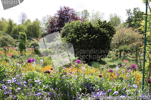 Image of Spring flowers in a garden