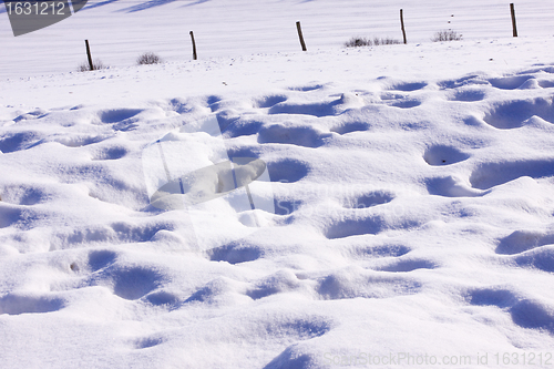 Image of campaign under the sun and winter snow