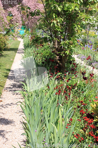 Image of Spring flowers in a garden