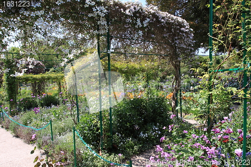 Image of Spring flowers in a garden