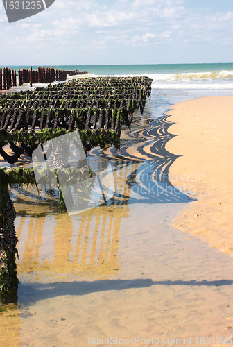 Image of mussel farming on the coast of opal in the north of France