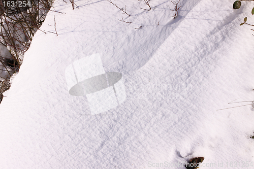 Image of campaign under the sun and winter snow