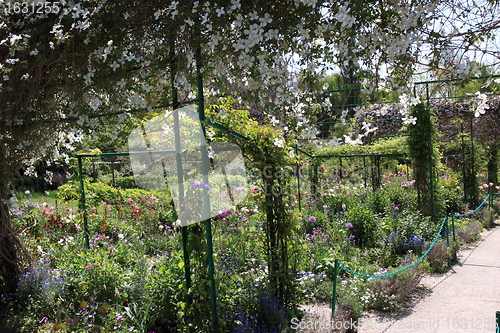 Image of Spring flowers in a garden