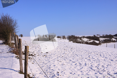 Image of campaign under the sun and winter snow