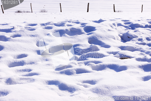 Image of campaign under the sun and winter snow