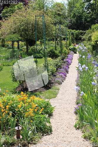 Image of Spring flowers in a garden