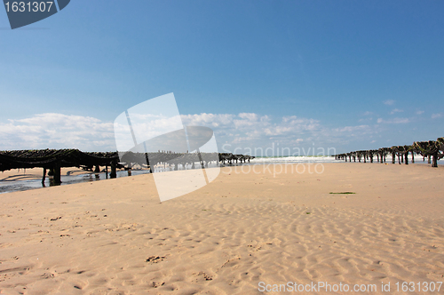 Image of mussel farming on the coast of opal in the north of France