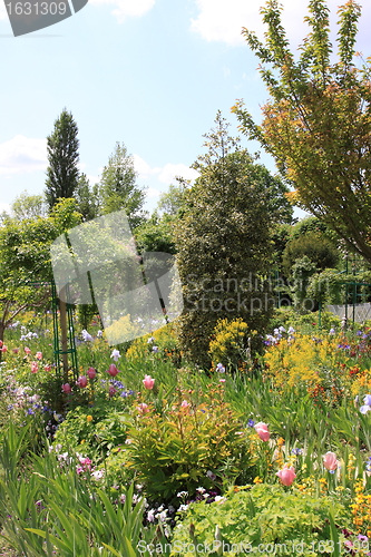 Image of Spring flowers in a garden