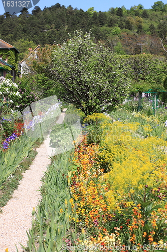 Image of Spring flowers in a garden