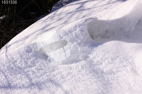 Image of campaign under the sun and winter snow