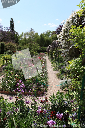 Image of Spring flowers in a garden