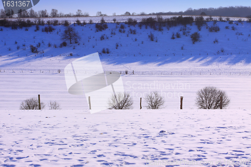 Image of campaign under the sun and winter snow