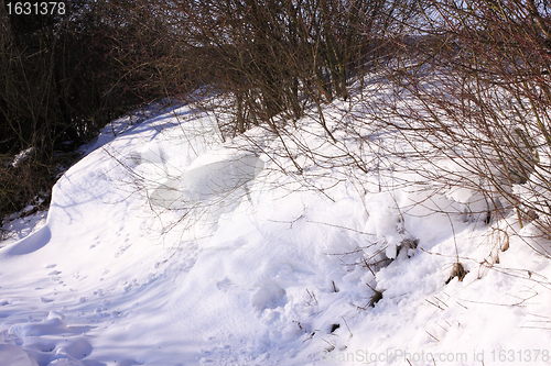 Image of campaign under the sun and winter snow