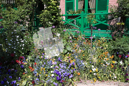 Image of Spring flowers in a garden