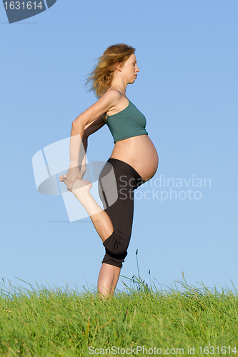 Image of pregnant woman on meadow