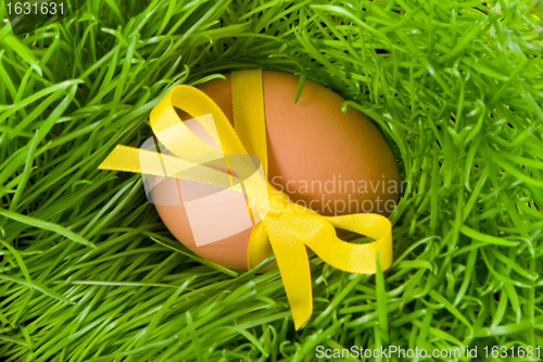 Image of easter egg and grass