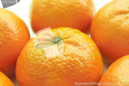 Image of Tangerine