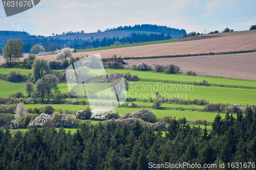 Image of green field