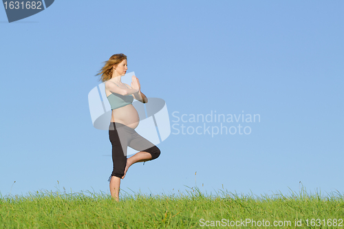 Image of pregnant woman on meadow