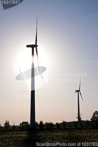 Image of windmill  farm