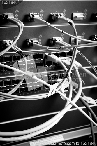 Image of network cables