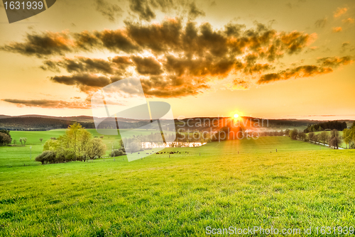 Image of beautiful meadow during sunset