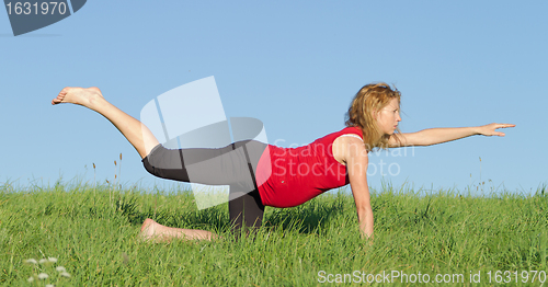 Image of pregnant woman on meadow