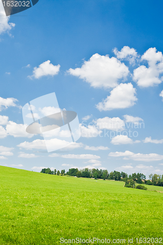 Image of agriculture landscape