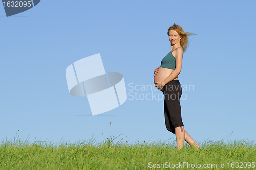 Image of pregnant woman on meadow