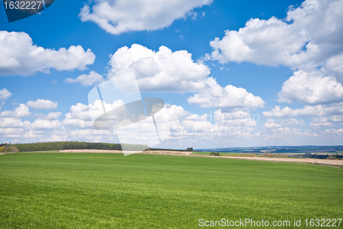 Image of green field