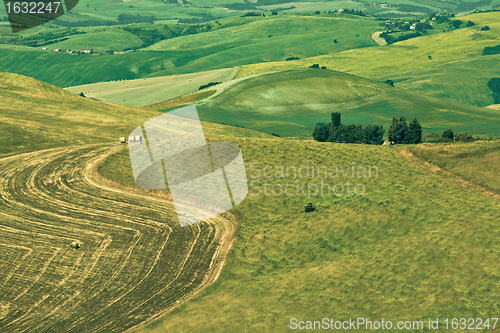 Image of Typical Tuscan landscape