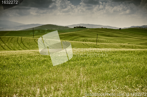 Image of Typical Tuscan landscape