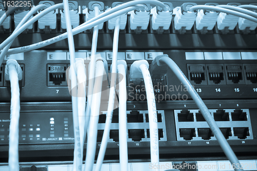 Image of ethernet cables