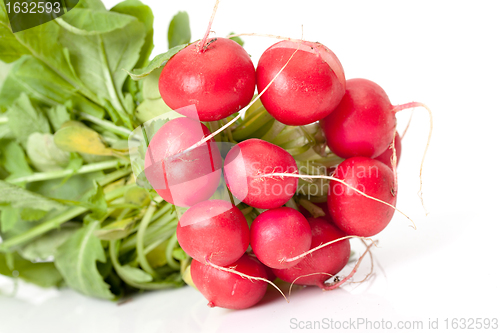 Image of Radish with leaf