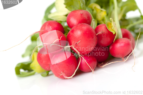 Image of Radish with leaf