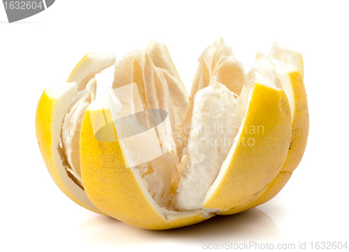 Image of Sliced Pomelo with segment